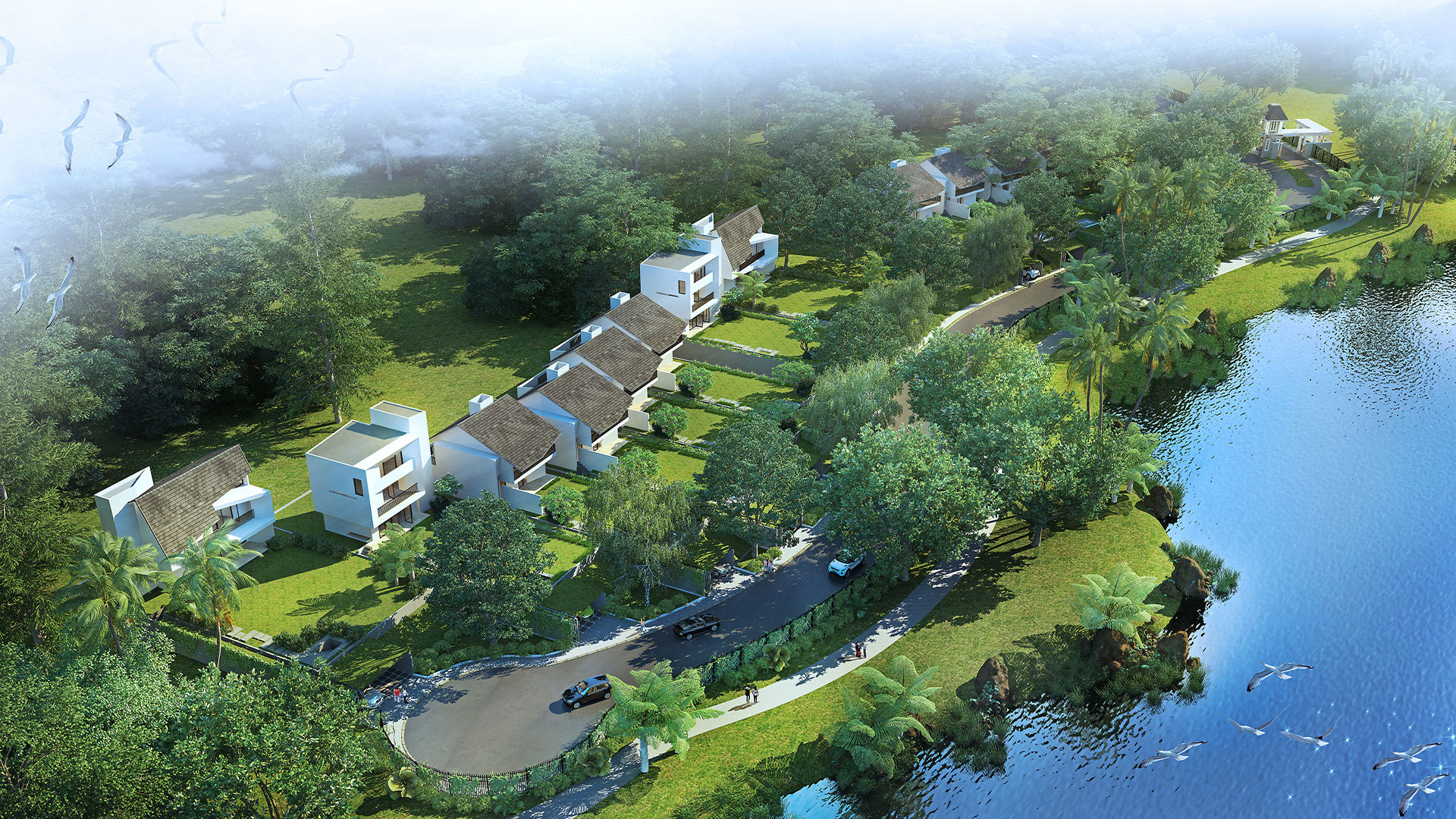 Harmonious Lifestyle Development
